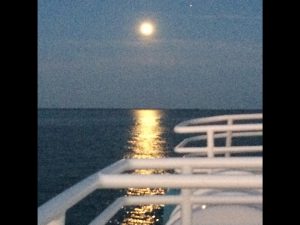 moonlight-cruise